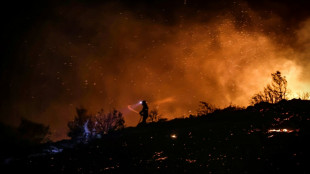 Firefighters battle wildfire in Athens suburbs