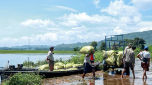 Myanmar villagers battle to save rice crop as flood death toll jumps to 226