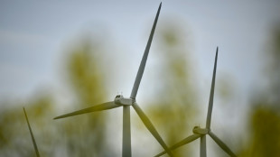 Bau neuer Windkraftanlagen an Land kommt nicht voran