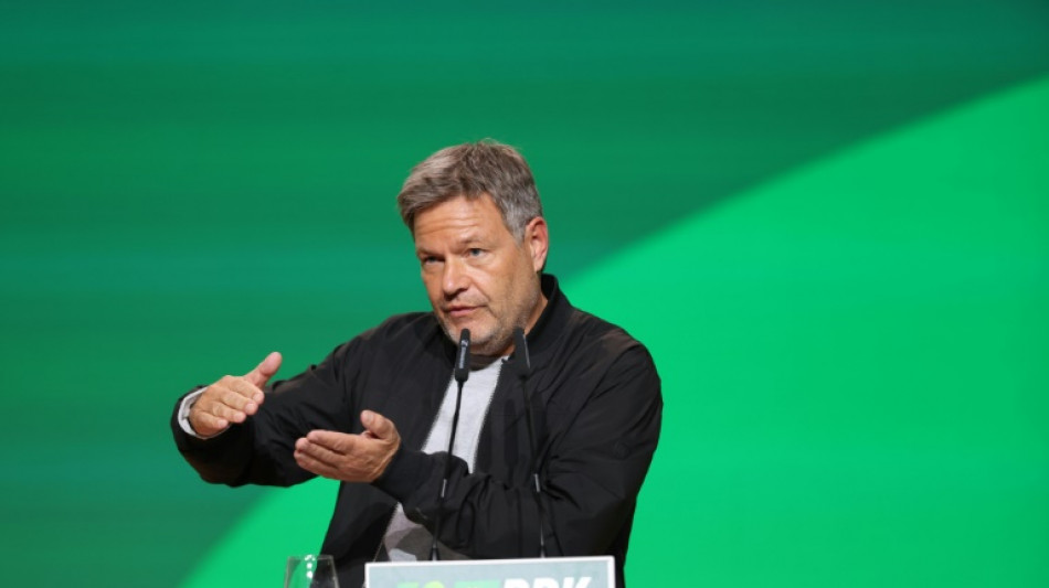 German Greens' Robert Habeck to lead bruised party into elections