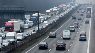 Grüne pochen auf Klimaschutz-Sofortprogramm für Verkehr