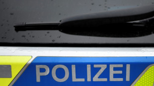 Passant entdeckt Leichenteile nahe Parkplatz in Rheinland-Pfalz
