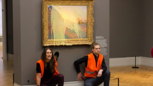 Roth kritisiert Attacken von Klimaaktivisten in Museen als 