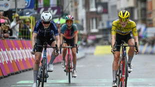 Tour de France femmes: Vollering-Niewiadoma, le duel est lancé