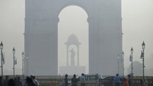 Indische Hauptstadt Neu Delhi schließt Grundschulen wegen giftigem Smog