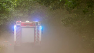 Verkohlte Leiche in brennender Lokomotive in Münster gefunden