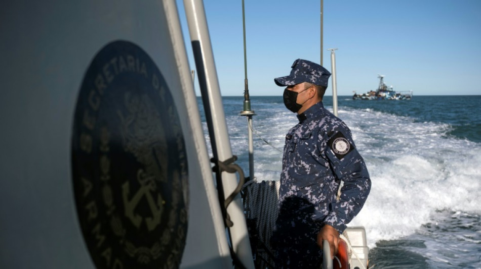 México en busca de un "milagro" que salve a la vaquita marina de la extinción