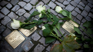 Staatsschutz ermittelt: Zehn Stolpersteine in Zeitz gestohlen