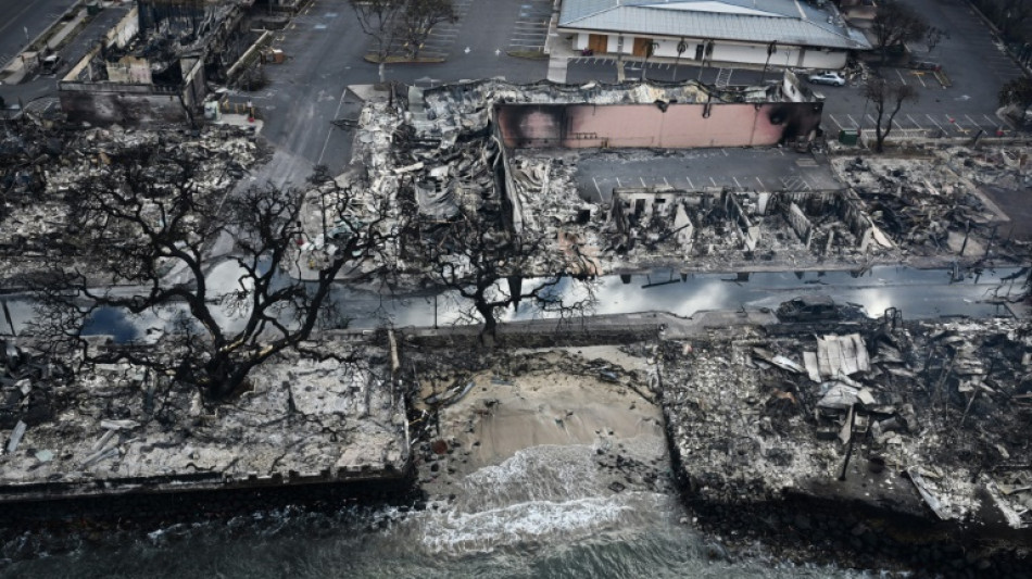 Residents return to find homes in ruin from Hawaii fire