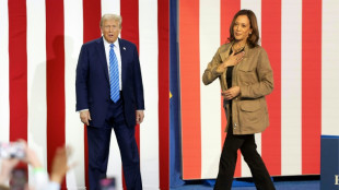 Trump y Harris cortejan a los latinos a dos semanas de las elecciones