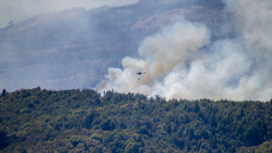 Incendie d'un site de l'Unesco en Argentine: un feu criminel, selon les autorités