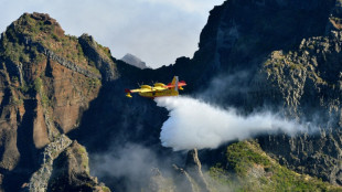 Portugal pide ayuda europea para luchar contra los incendios