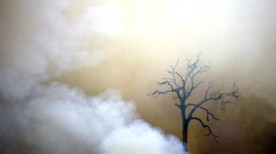 In fiamme in Brasile sette parchi del Minas Gerais