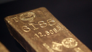 170 Goldmünzen und 16 Goldbarren in Reisegepäck am Hamburger Flughafen entdeckt