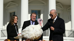 US-Präsident Biden begnadigt vor Thanksgiving zwei Truthähne