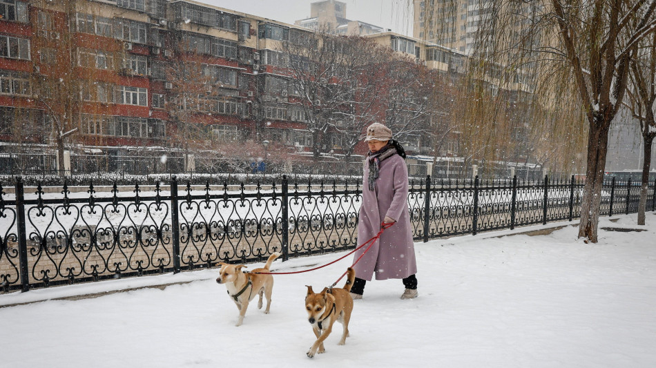 Cnn, presto in Cina ci saranno più animali domestici che bimbi