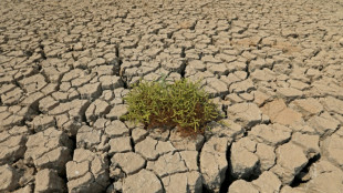 UNO und Rotes Kreuz: Hitzewellen werden bald ganze Regionen unbewohnbar machen