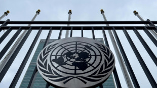 Baerbock ruft Russland in UN-Sicherheitsrat zu Ende von Ukraine-Krieg auf