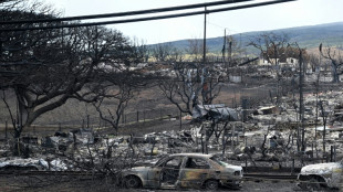 Hawaii county sues power company over deadly wildfires