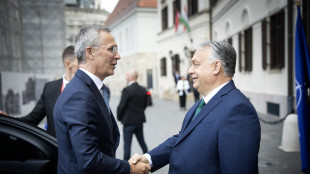 Orban, non bloccheremo decisioni della Nato sull'Ucraina