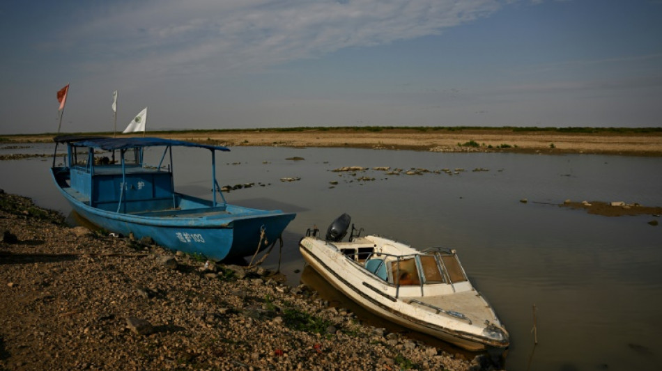 Dam plans threaten China's migratory bird haven