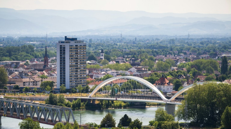 Baden-Württembergs AfD-Fraktion scheitert in Streit um Stellvertreter in Oberrheinrat