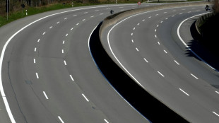 Entenfamilie verursacht Verkehrschaos mit vier Verletzten auf A7