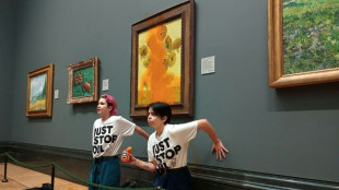 Meisterwerk von Vincent van Gogh nach Suppenattacke in London unbeschädigt