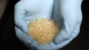 Heilbronner Polizei beschlagnahmt Rekordmenge Crystal Meth in Hydraulikpresse
