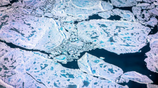 Kein neuer Minusrekord bei arktischem Meereis trotz heißen Sommers