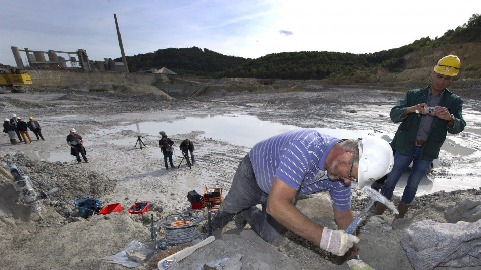 Trovato un ecosistema preistorico fossile in Valtellina