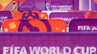 WM in Katar: Für Sponsoren ein Albtraum