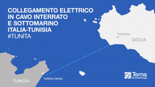 Pichetto, il Pniec rafforza l'interconnessione energetica