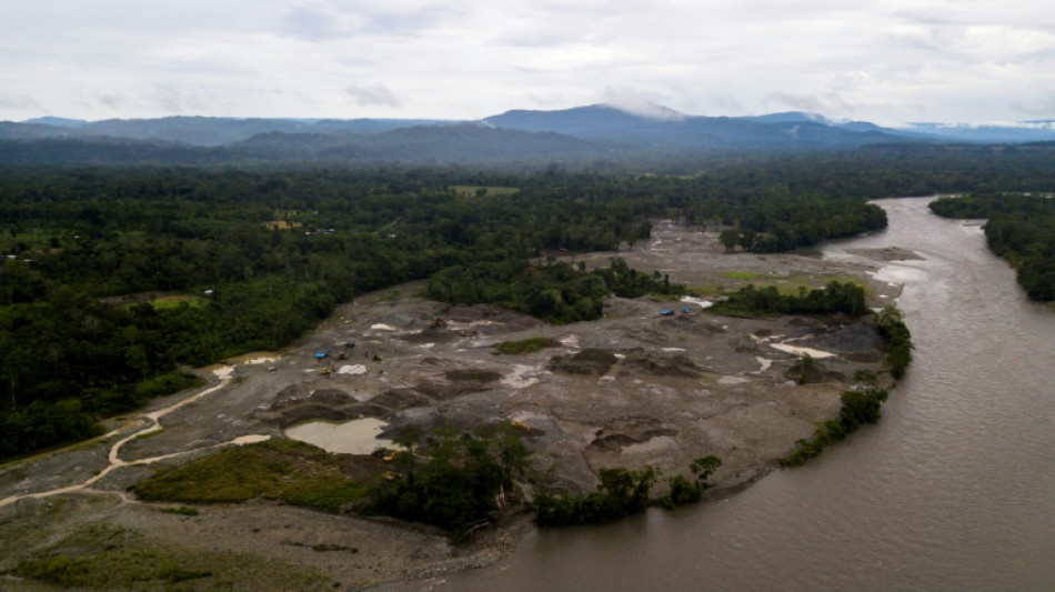 Tribunais e floresta, as duas frentes de batalha contra a mineração na Amazônia equatoriana