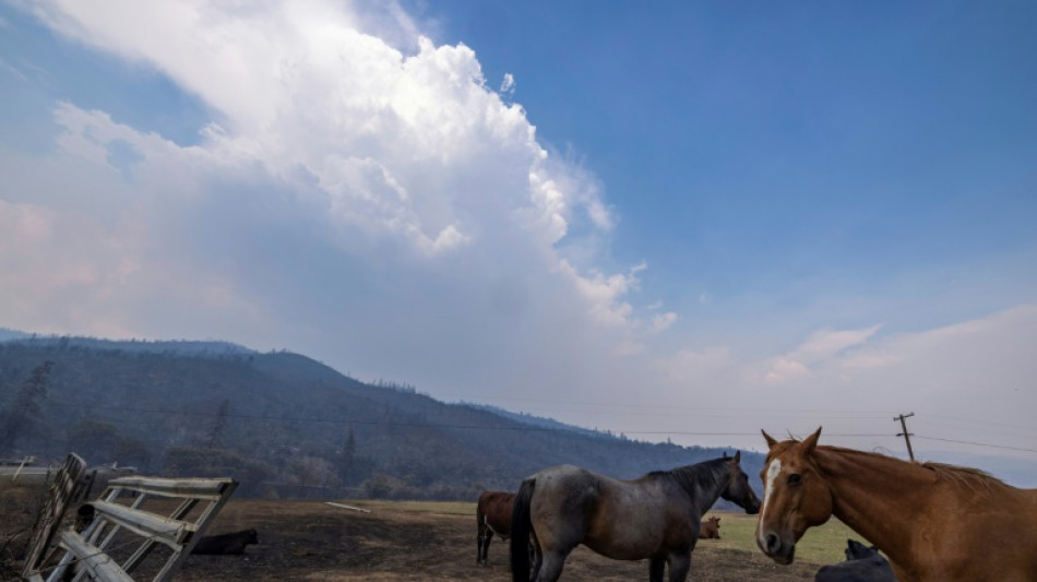 Horses part of Native American life earlier than thought: study