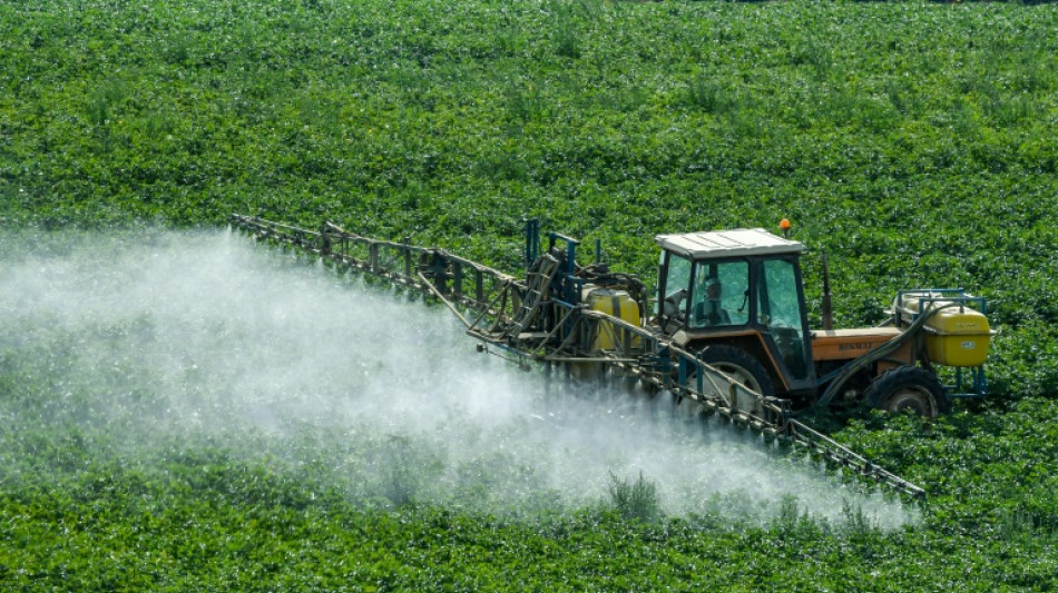 Los pesticidas, cada vez más utilizados en la agricultura mundial