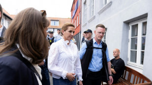 Danish PM attack suspect says doesn't recall hitting her