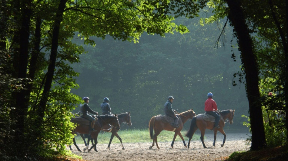 La forêt de Chantilly, sentinelle menacée du réchauffement climatique