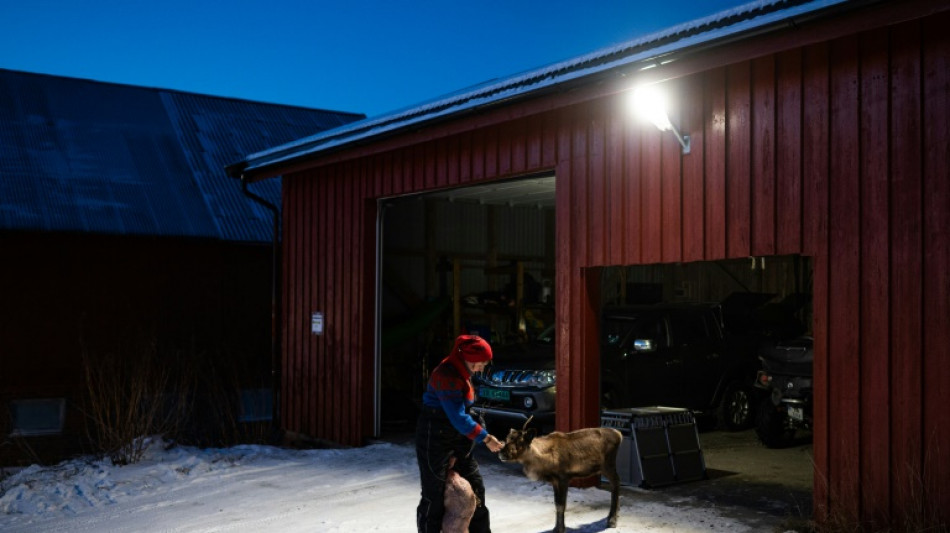 Schwedische Regierung gibt grünes Licht für umstrittenes Bergbau-Projekt