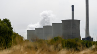 Umwelthilfe übt scharfe Kritik an Reaktivierung von Braunkohlekraftwerken