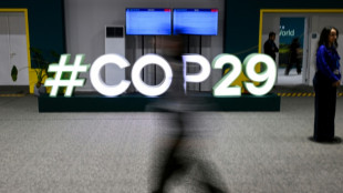 Developing nations slam 'paltry' $300 bn climate deal