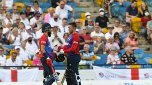 Moeen rallies England to 193-6 against West Indies in 4th T20