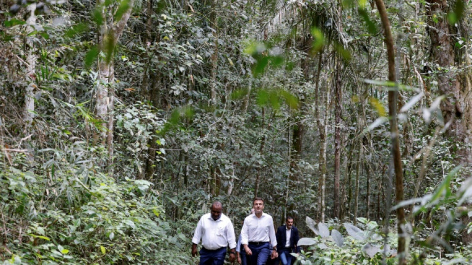 French leader goes green to woo Pacific islands