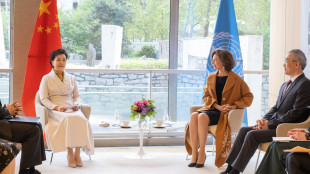 First lady cinese ricevuta nella sede Unesco a Parigi