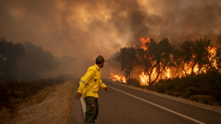 Marokko setzt weitere Soldaten zur Bekämpfung von Waldbränden ein