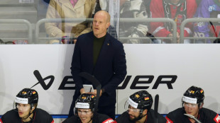 Medien: Eishockey-Bundestrainer Söderholm wechselt nach Bern