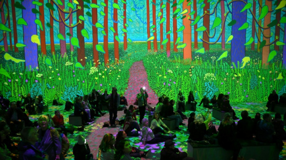 Hockney immersive takes plunge into artist's creative process  