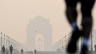 New Delhi dans un nuage de pollution après les feux d'artifice de Diwali