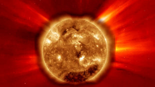 La prima mappa magnetica della corona solare