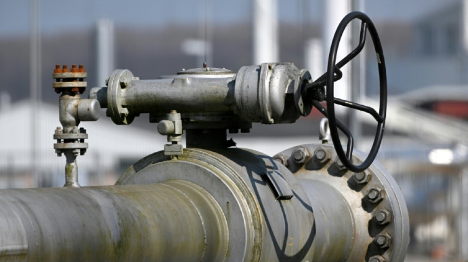 CSU-Landesgruppe fordert Gaspreisdeckel für 75 Prozent des Privatverbrauchs